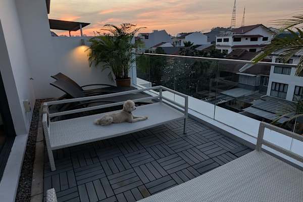 House sit in Singapore, Singapore