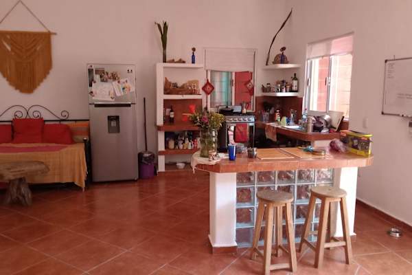 House sit in Playa del Carmen, Mexico