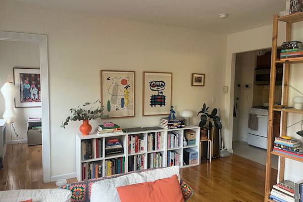 House sit in Brooklyn, NY, US