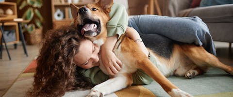 Trustworthy pet sitter hugging a dog; woman hugging a dog